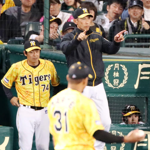 阪神対広島　7回表広島無死、矢野監督はバティスタの遊ゴロ判定にリクエストを出す（撮影・加藤哉）