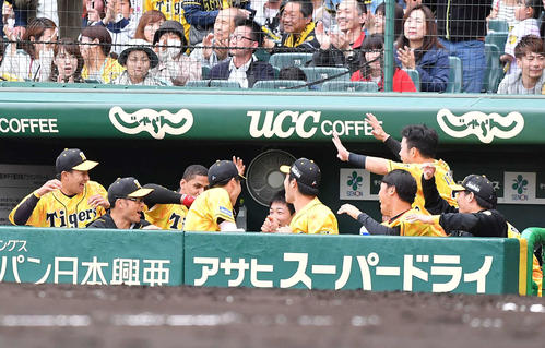 阪神対広島　6回裏阪神1死、令和チーム初の左越えソロ本塁打を放ったジェフリー・マルテはサイレントトリートメントで祝福される（撮影・上田博志）