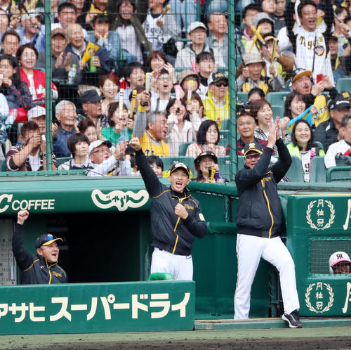 阪神対広島　5回裏阪神1死二、三塁、矢野監督は近本の中前適時打にベンチでガッツポーズを見せる（撮影・加藤哉）