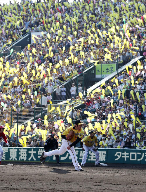 阪神対広島　7回表、ジェット風船で黄色く染まるスタンドを前に力投する岩田（撮影・前田充）
