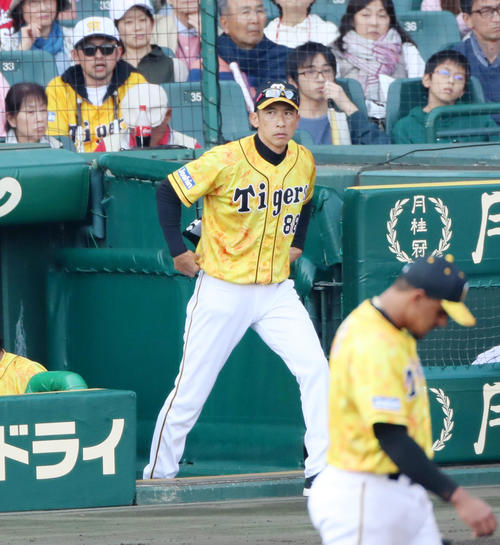阪神対広島　9回表広島1死一塁、矢野監督は打者長野を迎えたところで投手交代を告げる（撮影・加藤哉）