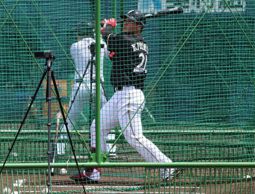 フリー打撃をする日本ハム清宮（撮影・山崎純一）