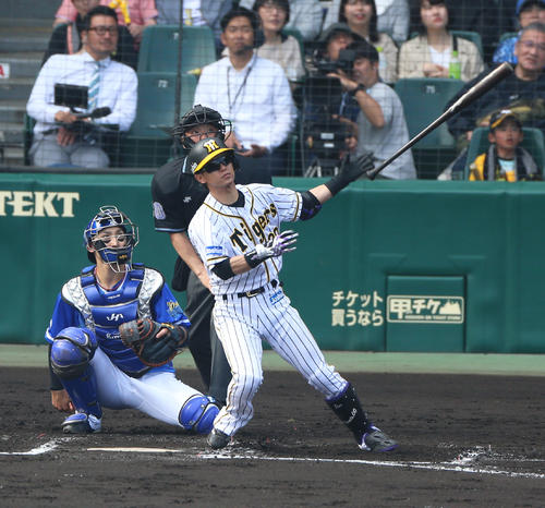 6回裏阪神無死、上本は左越えに同点本塁打を放つ（撮影・上山淳一）