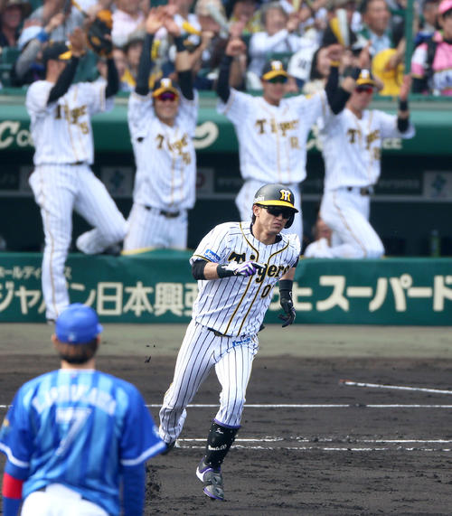 6回裏阪神無死、上本は左越え本塁打を放ちバンザイするナインを背に一塁を回る（撮影・上山淳一）