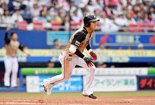 ロッテ対日本ハム　6回表日本ハム1死一、二塁、平沼は勝ち越しの右前適時打を放つ（撮影・滝沢徹郎）