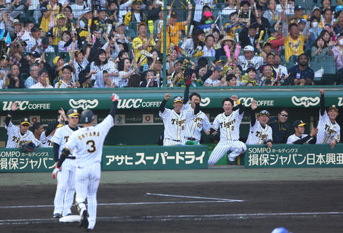 7回裏阪神1死二塁、大山の同点中前適時打に盛り上がる阪神ベンチ（撮影・上山淳一）