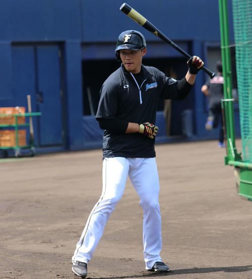ティー打撃をする日本ハム王柏融（撮影・山崎純一）