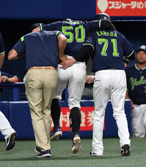 中日対ヤクルト　6回表ヤクルト無死、上田は左足に死球を受けそのまま交代（撮影・前岡正明）
