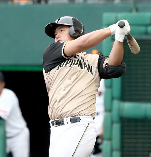 日本ハム横尾（19年撮影）
