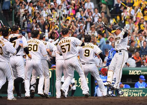阪神対DeNA　9回裏阪神2死一塁、右越えサヨナラ本塁打を放ちジャンプしてナインに飛び込む福留（撮影・上田博志）