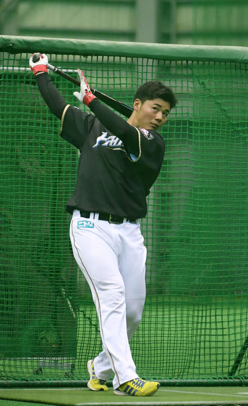 4月、室内練習場でフリー打撃をする日本ハム清宮