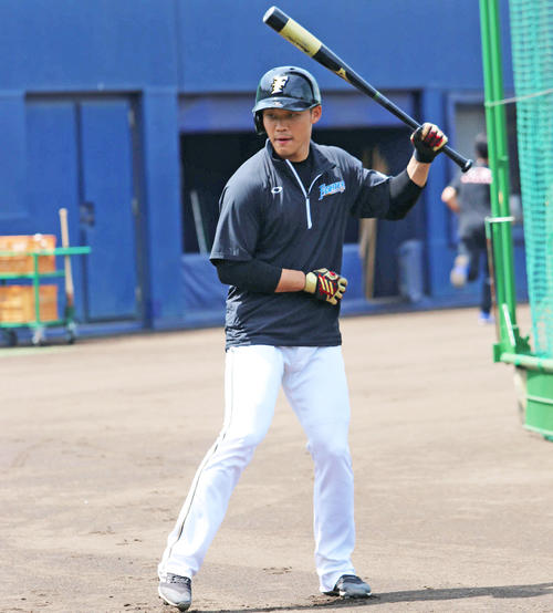 日本ハム王柏融（2019年5月5日撮影）