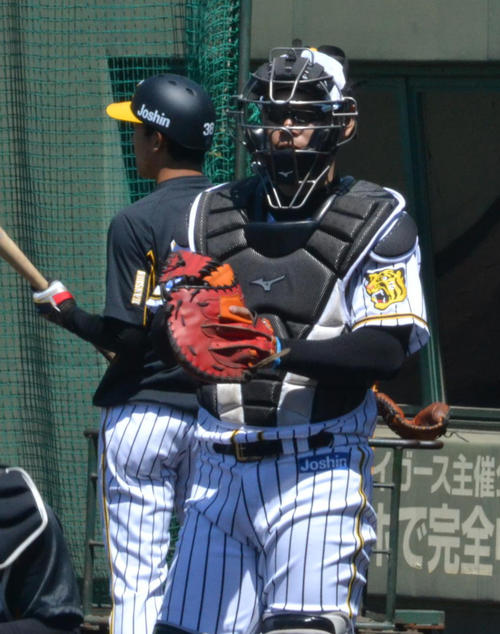 全体練習に復帰した阪神原口