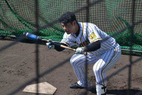 2軍全体練習に合流し、バント練習をする原口（撮影・望月千草）