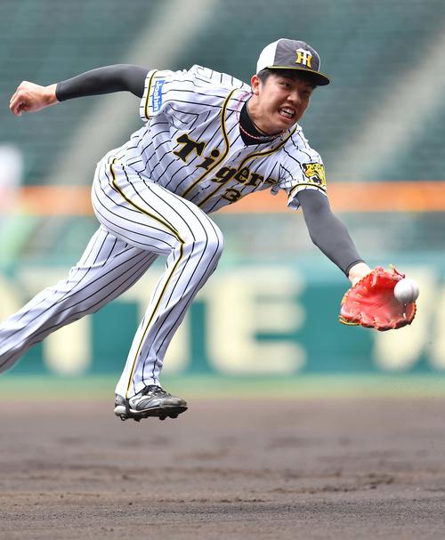 投内連係プレーで、はつらつとした動きを見せる才木（撮影・上田博志）
