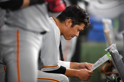 巨人対ヤクルト　7回裏、打席へ入る前にデータが書かれたファイルに目を通す巨人坂本勇（撮影・横山健太）