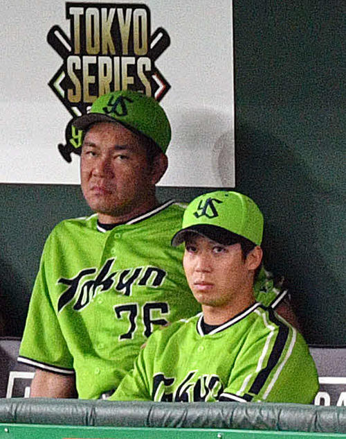 巨人対ヤクルト　試合前練習をベンチから見つめるヤクルト山田哲（手前）（撮影・滝沢徹郎）