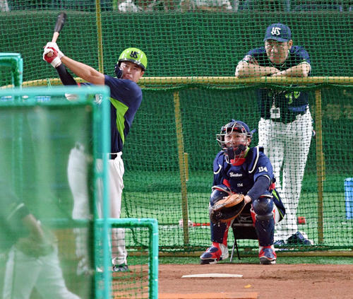 巨人対ヤクルト　試合前練習でフリー打撃するヤクルト村上（撮影・滝沢徹郎）