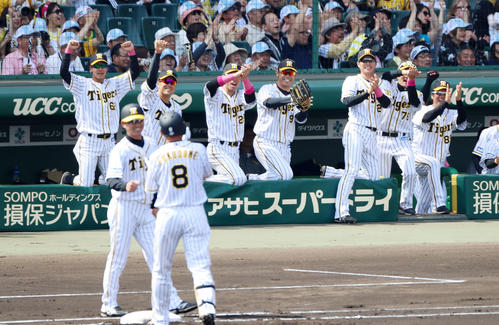 1回裏阪神1死満塁、福留は中前適時打を放ちベンチのナインも拍手で祝福する（撮影・加藤哉）
