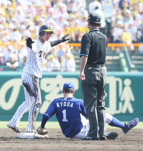 阪神対中日　2回裏阪神2死一塁、近本は二塁を決める（撮影・上山淳一）