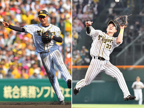 阪神遊撃木浪と二塁糸原