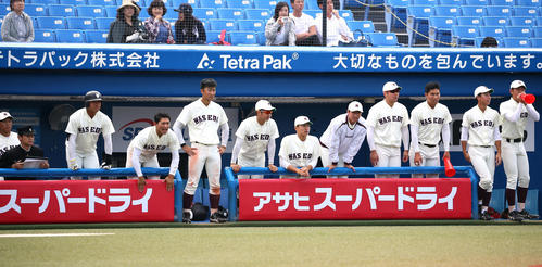 早大対立大　試合を見つめる早大ナイン（撮影・足立雅史）