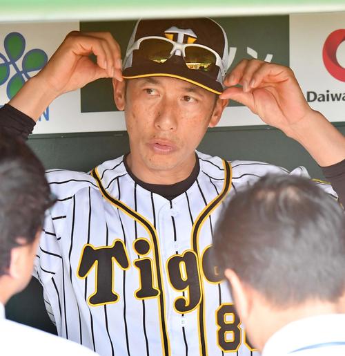 ベンチで取材に応じる矢野監督（撮影・上田博志）