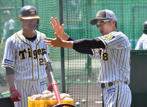 江越（左）に打撃指導する矢野監督（撮影・上田博志）