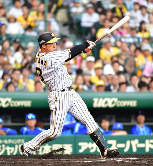 阪神大山（2019年5月3日撮影）
