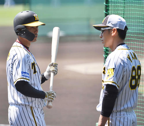 矢野燿大監督（右）と話す高山俊（撮影・上田博志）