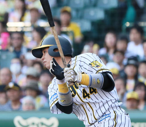 阪神梅野隆太郎