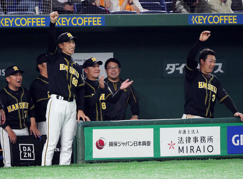 7回表2死一、二塁、北條史也の適時打にガッツポーズする矢野監督（左）と大山（撮影・垰建太）