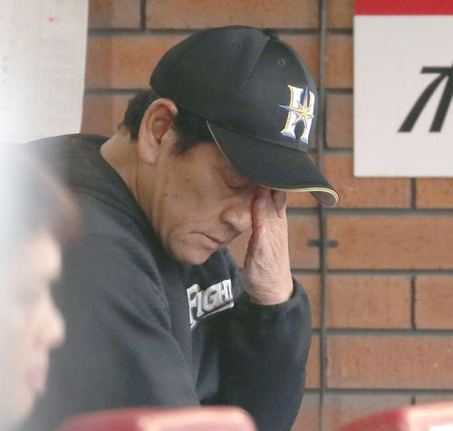 ベンチで頭を抱える日本ハム栗山監督（撮影・佐藤翔太）