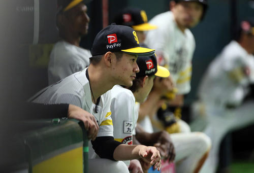 ソフトバンク対西武　試合を見つめる大竹（撮影・栗木一考）