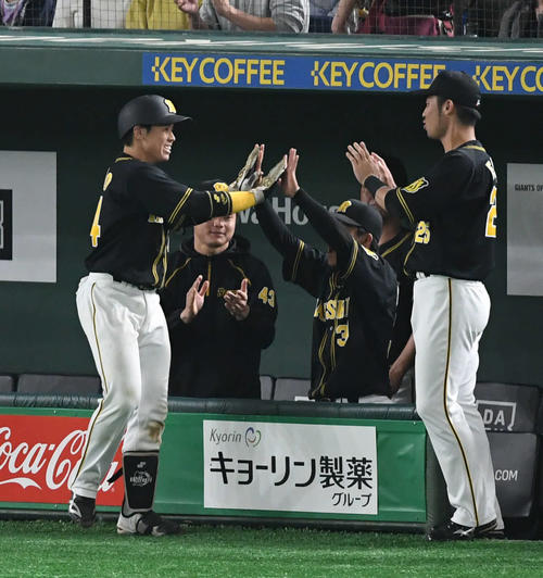 巨人対阪神　7回表阪神無死、ソロ本塁打を放った梅野（左）はチームメートとタッチをかわす（撮影・山崎安昭）