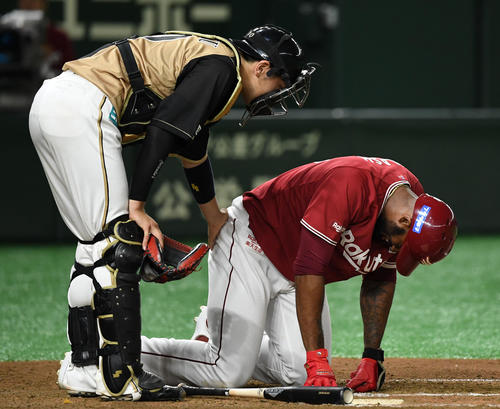 楽天対日本ハム　8回裏楽天無死、右膝に死球を受け倒れ込むブラッシュ（撮影・横山健太）