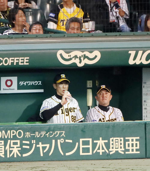 9回表を終え、ベンチで水を飲む矢野監督（左）、右は清水ヘッドコーチ（撮影・加藤哉）