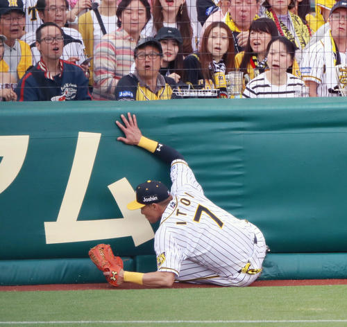 阪神対広島　4回表広島無死、糸井は鈴木の右邪飛をスライディングで好捕する