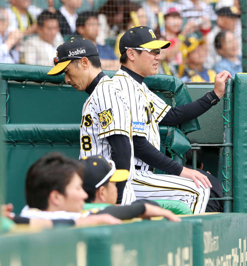 阪神対広島　7回裏阪神2死二塁、矢野監督（左）は代打鳥谷を告げベンチに戻る（撮影・上山淳一）
