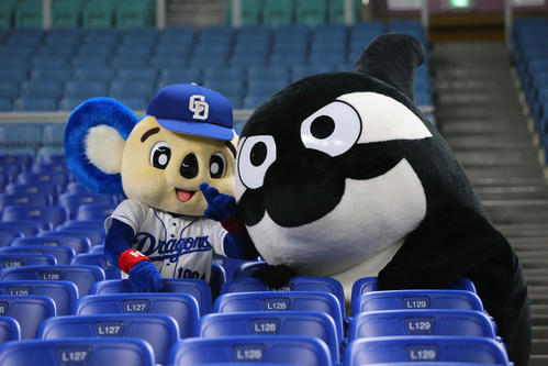 中日対巨人 試合前、スタンドでじゃれ合うドアラ(左)とグランパスくん(撮影・垰建太)