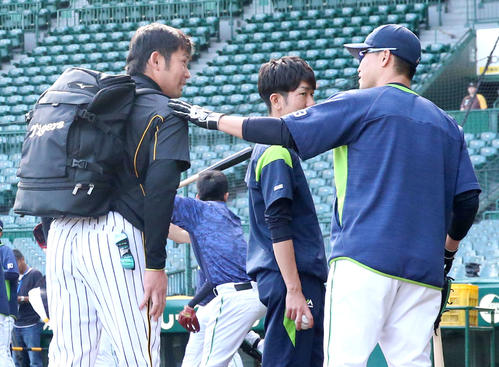 阪神対ヤクルト　試合前、岩田（左）は青木（右）に前回の対戦で死球を当てた件を謝罪する（撮影・上山淳一）