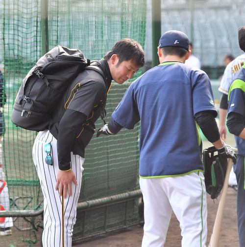 阪神対ヤクルト　前回の死球を青木（右）にあやまる岩田（撮影・上田博志）