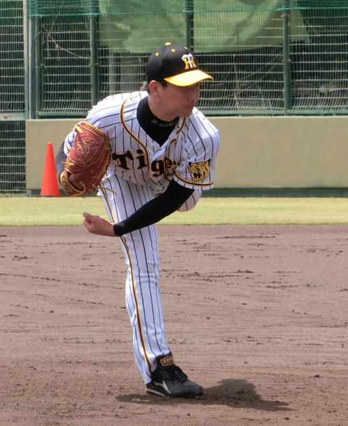 鳴尾浜の残留練習でシート打撃に登板した阪神岩崎（撮影・奥田隼人）