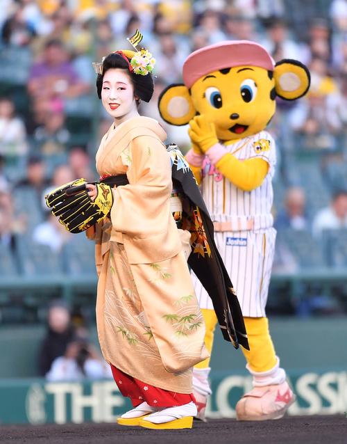 阪神対ヤクルト　始球式を務める京都宮川町・舞子の叶子さん（撮影・上田博志）