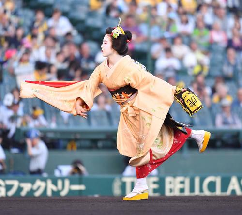阪神対ヤクルト　始球式を務める京都宮川町・舞子の叶子さん（撮影・上田博志）