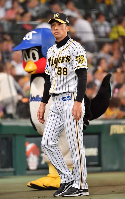 阪神対ヤクルト　選手交代を告げつば九郎を背にベンチに引き揚げる矢野燿大監督（撮影・上田博志）