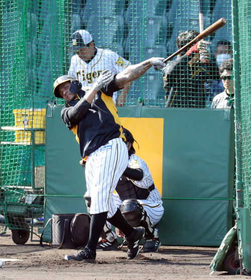 試合前練習でフリー打撃を行うマルテ（撮影・前田充）