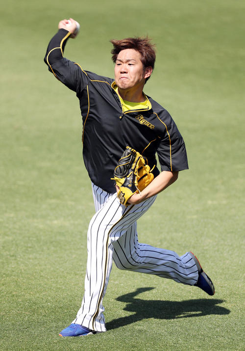 キャッチボールで調整する阪神西（撮影・前田充）