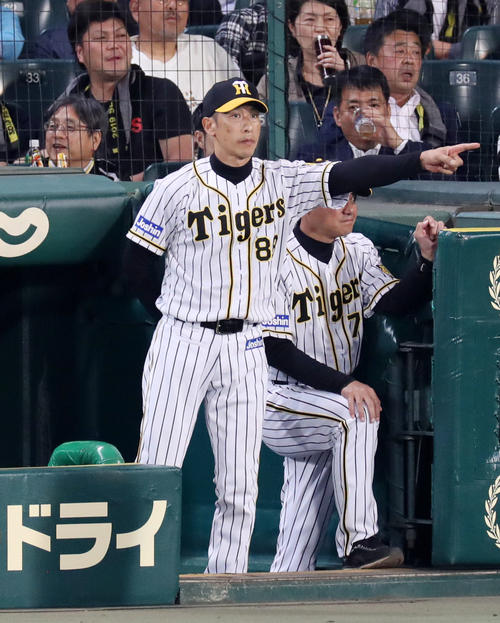 阪神対ヤクルト　8回、選手交代を告げる矢野監督（撮影・前田充）