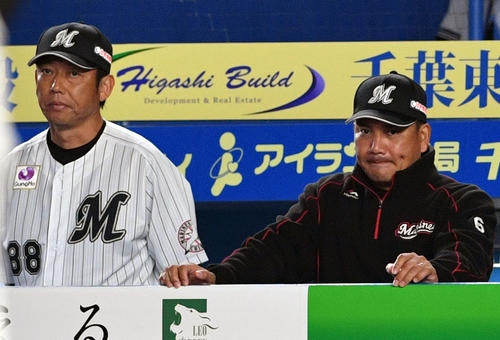 ロッテ対ソフトバンク　厳しい表情で戦況に視線を送るロッテ井口監督（右）と鳥越ヘッドコーチ（撮影・滝沢徹郎）